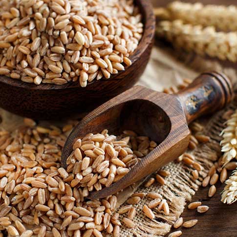 Farro